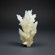 Load image into Gallery viewer, High-Grade Coral Aragonite Specimen | Wenshan Mine, Yunnan, China | Collector Mineral Display
