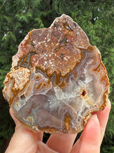 Load image into Gallery viewer, Mystical Turkish Agate with Intriguing Inclusions – Great Banding and Eyes
