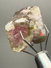Load image into Gallery viewer, Raw Bi-Color Tourmaline Crystal Specimen | Ocean View Mine, Pala, California, USA
