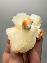 Load image into Gallery viewer, Cream Stilbite Flower on
Orange Heulandite Zeolite Cluster – India (Collector Mineral Specimen)
