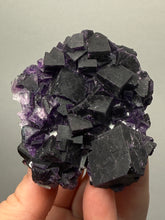 Load image into Gallery viewer, High-Grade Rare Purple-Green-Blue Cubic Fluorite | Cabinet Mineral Collector Specimen | Zhejiang Province, China
