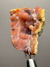 Load image into Gallery viewer, “Goblin Chalcedony” Pink &amp; Orange Druzy Botryoidal Stalactites— Tichka Massif, High Atlas, Morocco
