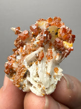 Load image into Gallery viewer, Natural Vanadinite on Matrix | Collector Mineral Specimen | Morocco
