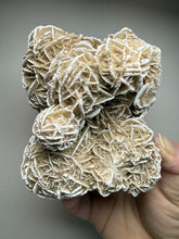 Load image into Gallery viewer, Desert Rose Selenite (Gypsum) — Mineral Display Specimen | Mexico
