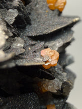 Load image into Gallery viewer, Natural Vanadinite on Matrix | Collector Mineral Specimen | Morocco
