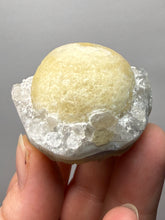 Load image into Gallery viewer, Rare Botryoidal Yellow Fluorite on Quartz Matrix  Collector Mineral Specimen – Maharashtra, India
