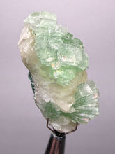 Load image into Gallery viewer, Green Radial “Disco Ball” Apophyllite | Maharashtra, India
