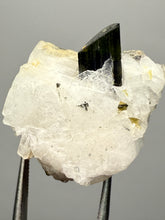 Load image into Gallery viewer, Dark Green Cap Stak Nala Tourmaline and Cleavelandite – Haramosh Mountains, Pakistan | Thumbnail Specimen
