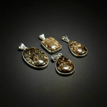 Load image into Gallery viewer, PENDANT | Turritella Fossil | 925 Silver Plated
