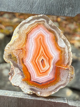 Load image into Gallery viewer, High-Grade Parallax Banded Laguna Agate – Bright Orange, Red, &amp; White Banding from Mexico
