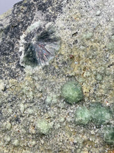 Load image into Gallery viewer, High-Grade Green Wavellite Collectors Specimen - Radiating Botryoidal Crystal Formation - Arkansas, USA
