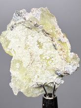 Load image into Gallery viewer, Vibrant Yellow Brucite Thumbnail Mineral Specimen | Collector Crystal from Killa Saifullah District in Balochistan Province, Pakistan
