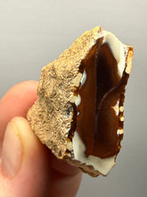 Load image into Gallery viewer, Premium Sumatra Agate (Banded Chalcedony) Display Specimen | Indonesia

