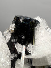 Load image into Gallery viewer, Blue Cap on Dark Green Stak Nala Tourmaline on Cleavelandite on Matrix – Haramosh Mountains, Pakistan
