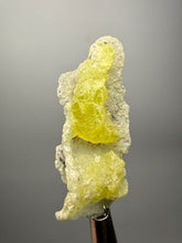 Load image into Gallery viewer, Vibrant Yellow Brucite Thumbnail Mineral Specimen | Collector Crystal from Killa Saifullah District in Balochistan Province, Pakistan

