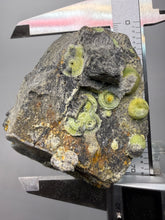 Load image into Gallery viewer, High-Grade Green Wavellite Collectors Specimen - Radiating Botryoidal Crystal Formation - Arkansas, USA
