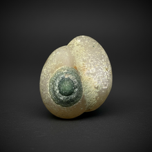 Load image into Gallery viewer, Naturally Sand-Chiseled Gobi Eye Agate | Inner Mongolia Desert Sculpted Specimen
