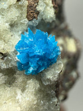 Load image into Gallery viewer, Rare Electric Blue Pentagonite on Druzy Matrix – Collector Mineral Specimen | India
