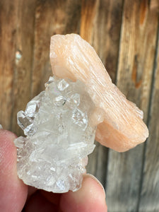Clear Gem Apophyllite Encrusted Stalactite + Pink Stilbite Cluster • Maharashtra, India