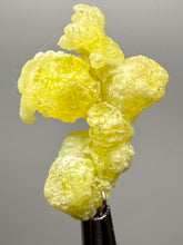 Load image into Gallery viewer, Vibrant Yellow Brucite Thumbnail Mineral Specimen | Collector Crystal from Killa Saifullah District in Balochistan Province, Pakistan
