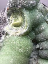 Load image into Gallery viewer, High-Grade Green Wavellite Collectors Specimen - Radiating Botryoidal Crystal Formation - Arkansas, USA
