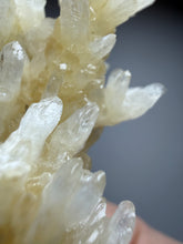 Load image into Gallery viewer, High-Grade Coral Aragonite Crystal Specimen – Wenshan Mine, Yunnan, China
