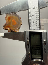 Load image into Gallery viewer, Lot of 4 Small Malawi Agate Halves – Polished Rare Colorful Collector Specimens
