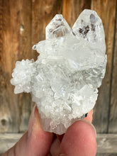 Load image into Gallery viewer, Clear Gem Apophyllite + Apophyllite Flower Stalactites • Maharashtra, India
