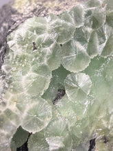 Load image into Gallery viewer, High-Grade Green Wavellite Collectors Specimen - Radiating Botryoidal Crystal Formation - Arkansas, USA
