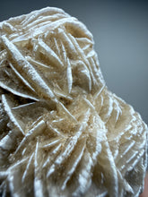 Load image into Gallery viewer, Desert Rose Selenite (Gypsum) — Mineral Display Specimen | Mexico
