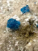 Load image into Gallery viewer, Rare Electric Blue Pentagonite &amp; Cavansite on Druzy Matrix | Collector Mineral Specimen | Wagholi Quarry, India
