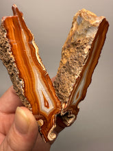 Load image into Gallery viewer, High-Grade Indonesian Sumatra Agate Pair – Vibrant Banded Chalcedony with Rich Color Zoning | Ethical Lapidary &amp; Collector Display Specimens
