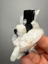 Load image into Gallery viewer, Dark Green Cap Stak Nala Tourmaline on Cleavelandite Matrix – Haramosh Mountains, Pakistan
