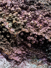 Load image into Gallery viewer, Iridescent Rainbow Turgite Mineral Specimen from Umklum Mountain, Thailand | Collector-Grade Rainbow Hematite Display Piece
