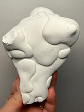Load image into Gallery viewer, Chichaoua Menalite “Fairy Stone” Concretion | Natural Collector Display Specimen | Morocco
