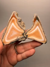 Load image into Gallery viewer, High-Grade Indonesian Sumatra Agate Pair – Vibrant Banded Chalcedony with Rich Color Zoning | Ethical Lapidary &amp; Collector Display Specimens
