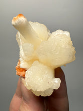Load image into Gallery viewer, Cream Stilbite Flower on
Orange Heulandite Zeolite Cluster – India (Collector Mineral Specimen)
