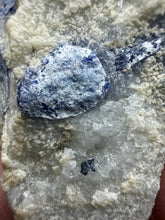 Load image into Gallery viewer, Afghan Lazurite Specimen | Deep Blue Lapis-Grade Crystal on Matrix | Collector Display Mineral

