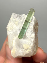 Load image into Gallery viewer, Lime Green Tourmaline on Matrix– Pegmatite Mineral Specimen from Pakistan
