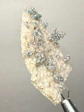 Load image into Gallery viewer, Blue-Green Chrysocolla in Botryoidal Chalcedony Cabinet Specimen | Indonesia
