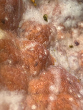 Load image into Gallery viewer, “Goblin Chalcedony” Pink &amp; Orange Druzy Botryoidal Stalactites — Tichka Massif, High Atlas, Morocco
