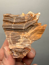 Load image into Gallery viewer, Chalcedony Quartz Rose Agate Collector Mineral Specimen – Morocco
