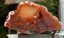 Load image into Gallery viewer, “Fiery Frozen Lake of the Atlas” – Scenic Plume Carnelian Agate from Morocco” • Polished
