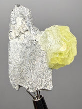Load image into Gallery viewer, Vibrant Yellow Brucite Thumbnail Mineral Specimen | Collector Crystal from Killa Saifullah District in Balochistan Province, Pakistan

