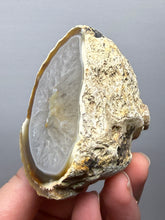 Load image into Gallery viewer, Premium Sumatra Agate (Banded Chalcedony) Display Specimen | Indonesia
