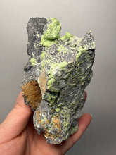 Load image into Gallery viewer, High-Grade Green Wavellite Collectors Specimen - Radiating Botryoidal Crystal Formation - Arkansas, USA
