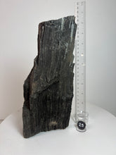 Load image into Gallery viewer, Black Druzy Petrified Wood from Indonesia
