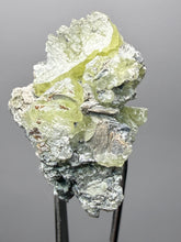 Load image into Gallery viewer, Vibrant Yellow Brucite Thumbnail Mineral Specimen | Collector Crystal from Killa Saifullah District in Balochistan Province, Pakistan
