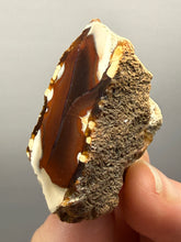 Load image into Gallery viewer, Premium Sumatra Agate (Banded Chalcedony) Display Specimen | Indonesia
