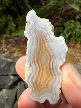 Load image into Gallery viewer, High-Grade Parallax Banded Laguna Agate – Soft Yellow &amp; White Banding from Mexico
